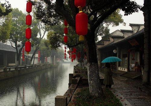 小桥吃瓜娱乐,揭秘娱乐圈幕后故事